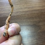 梅園 - 花林糖（黒胡麻）（アップ）