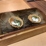 サンプリシテ - 玉手箱