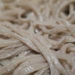 手打ち蕎麦 ほかげ - 鴨せいろ　ズームアップ