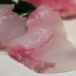 手打ち蕎麦 ほかげ - メバチ鮪中トロ（千葉）と活〆魴々刺身　ズームアップ