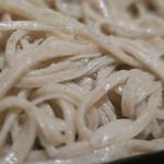 手打ち蕎麦 ほかげ - 鴨せいろ　ズームアップ