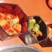 生粋 - 