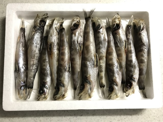 福島から うに貝焼 と めひかりの干物 が届きました By Kinako Anko おのざき 鮮場 平店 いわき その他 食べログ 福島から うに貝焼 と めひかりの干物 が届きました By Kinako Anko おのざき 鮮場 平店 いわき その他 食べログ