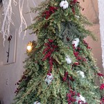 GANON FLORIST gallery - Xmasツリー