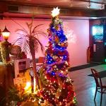 The PALMS - クリスマスツリー