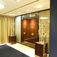 SALONE 2007 - 