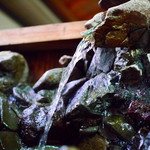 泉の鯉 - 飲用水