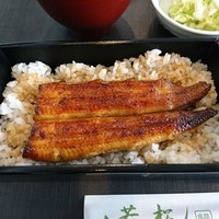 鰻 若松 - 