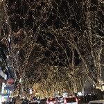 鮨台所 魚信 - 定禅寺通りのライトアップ