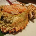 和ごころ 桜彩 - 毛蟹だるま