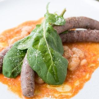 シバサキ キャンプ_1