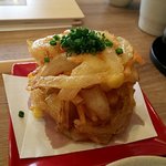 白金魚食堂 - かき揚げ（アップ）