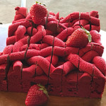 ロビー・ラウンジ - 