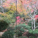 うなぎ屋 廣川 - 