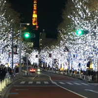 フィオレンティーナ - けやき坂のイルミネーション。東京タワーにハートマーク