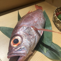 のどぐろ専門 銀座 中俣 - 