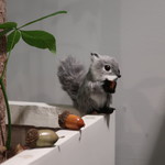 クッチーナ ラトリエ - ('2018.11月)