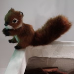 クッチーナ ラトリエ - ('2018.11月)