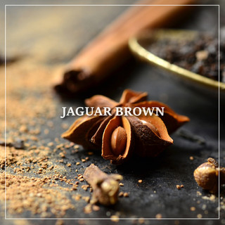 ラムしゃぶ食べ放題 Jaguar Brown - 