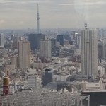 グッドビュー東京 - 