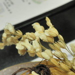 ホテル天坊 - 稲穂