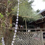 村のピザ屋 カンパーニャ - テラス席