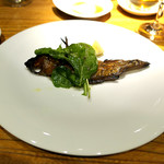 ドディチ・マッジョ - 