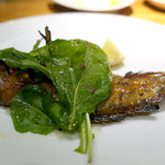 ドディチ・マッジョ - 