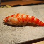 鮨 つぼみ - 車エビ握り