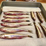 安べえ寿し - 本ししゃも　旨そうですよねぇ