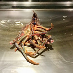 鉄板焼 銀杏 - 伊勢海老