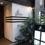 タニーチャ - (2011.6)