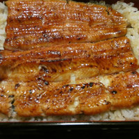 うなぎ割烹 大江戸 - しもづき 4,900円　（税込5,292円）