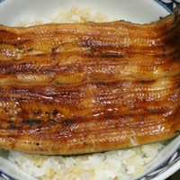 うなぎ割烹 大江戸 - いかだ大丼　4,400円　（税込4,752円 ）