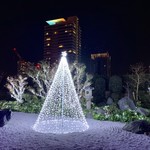 セント レジス ホテル - 庭園もクリスマス☆彡.。