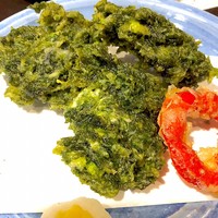 土佐料理 司 高知本店 - 