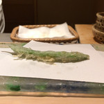 にい留 - 秋縞ささげ