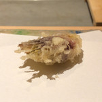 にい留 - ミョウガ