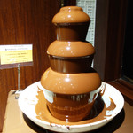 銀座バッカーナ　ジョイア - 高カカオのチョコレートファウンテン、ディップ用のマシュマロとバナナがありました。