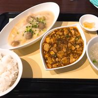 中国菜 feve.  - 