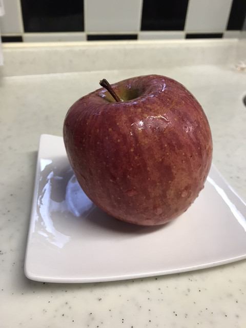 まるごと西郷館 - 新白河（その他）の写真