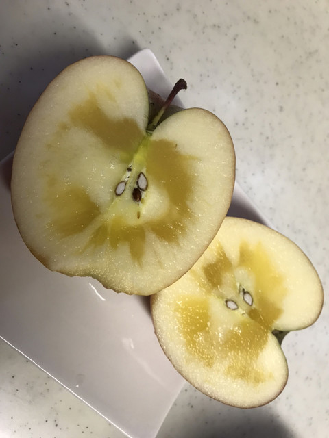 まるごと西郷館 - 新白河（その他）の写真