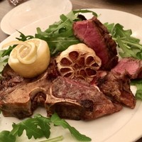 ダルマット 六本木ヒルズ店 - 