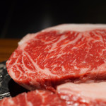 TACUBO - ホルスタイエモーション