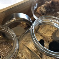Terres de Truffes, Tokyo - 
