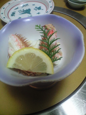 博多甲羅本店 はかた こうらほんてん 笹原 かに 食べログ