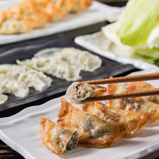 Choose from steamed, grilled, or fried! Delicious Gyoza / Dumpling without garlic