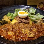 SPICY CURRY 魯珈 - 麻婆豆腐咖喱～kiwami～のろかプレート
