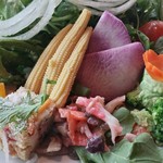 ガーデンレストラン オールデイ ダイニング - 料理写真:サラダと前菜。