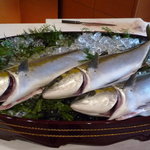 パラダイスガーデンサセボ - ひらす（ひらまさ）